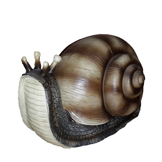 ������ 