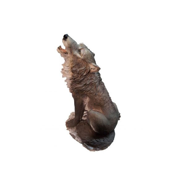 ������ 